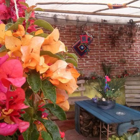 Hostal Nahui Ollin San Cristóbal de Las Casas Екстериор снимка