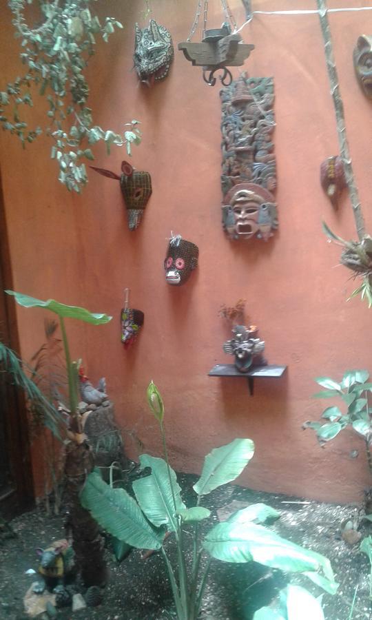 Hostal Nahui Ollin San Cristóbal de Las Casas Екстериор снимка