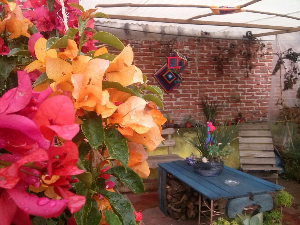 Hostal Nahui Ollin San Cristóbal de Las Casas Екстериор снимка